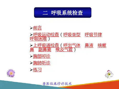 兽医临床诊断技术—呼吸系统检查
