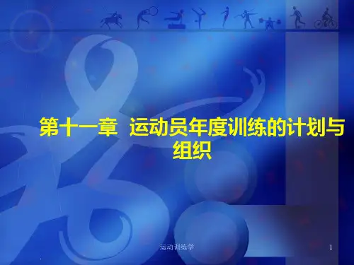 运动训练学
