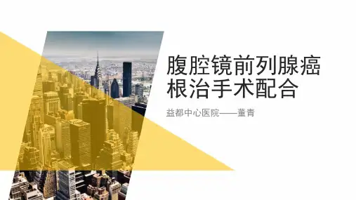 腔镜前列腺癌根治手术配合PPT课件