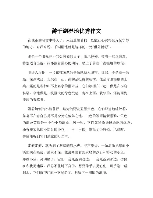 游千湖湿地优秀作文