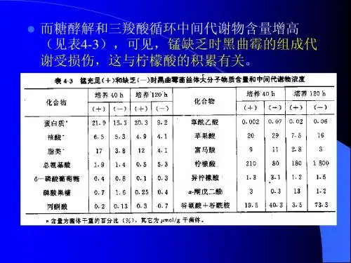 第8章发酵机制 51-100