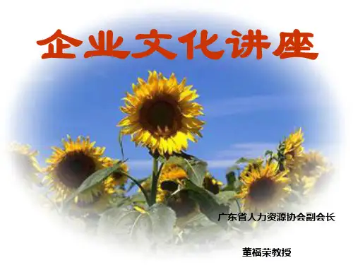 人力资源管理专题企业文化讲座PPT课件
