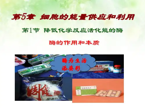 人教版高中生物必修1课件：第五章细胞的能量供应和利用(必修一)