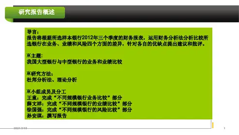 我国大型银行与中型银行的业务和业绩比较PPT课件