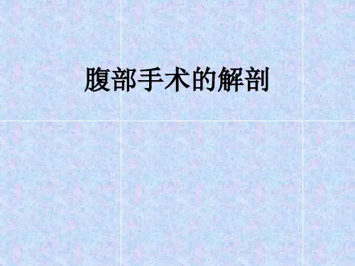 腹部手术的解剖