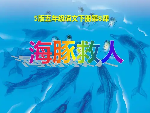 海豚救人 PPT优秀课件