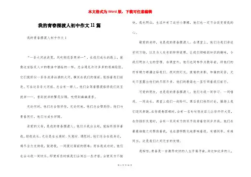 我的青春摆渡人初中作文11篇