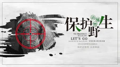 保护野生动植物宣传PPT