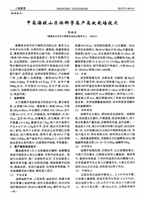中高海拔山区槟榔芋高产高效栽培技术
