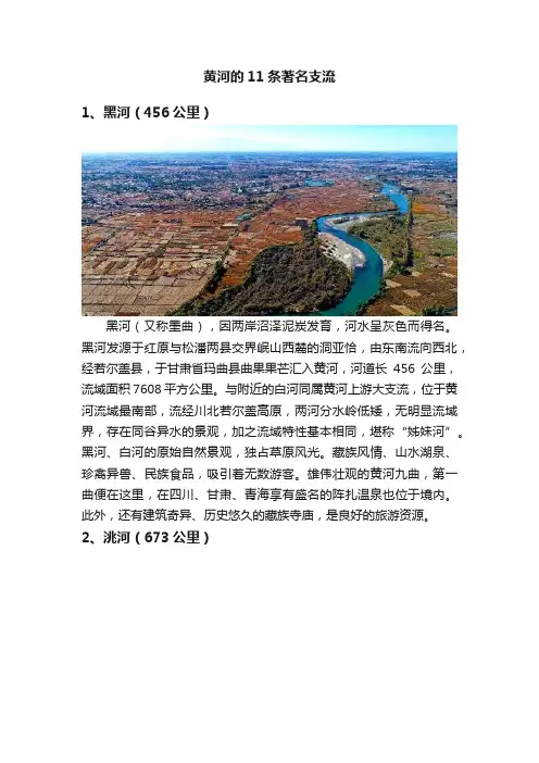 黄河的11条著名支流