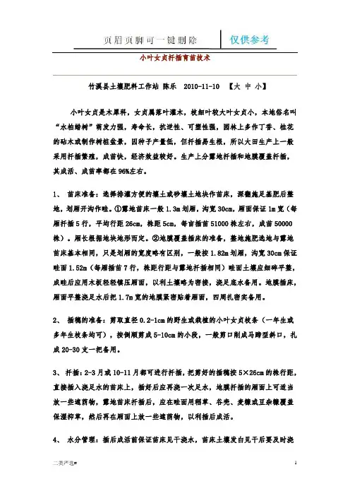 小叶女贞扦插育苗技术(特选参考)