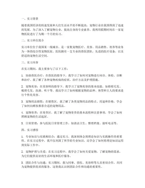 宠物实习报告