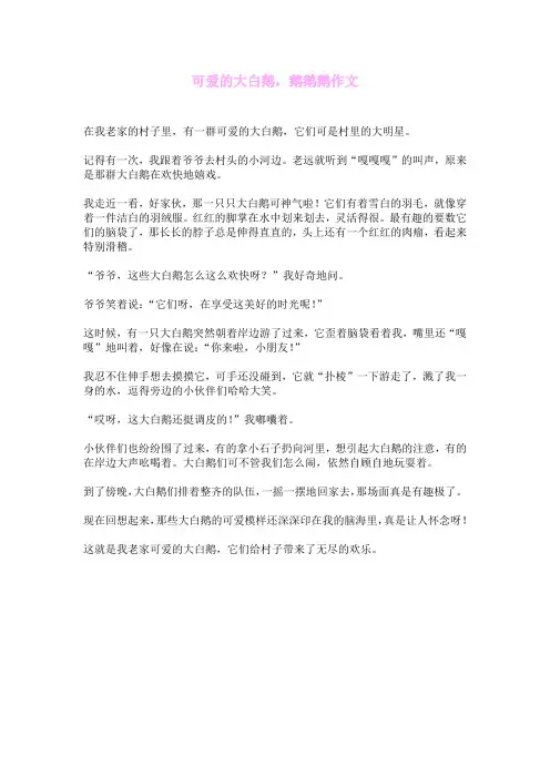可爱的大白鹅,鹅鹅鹅作文