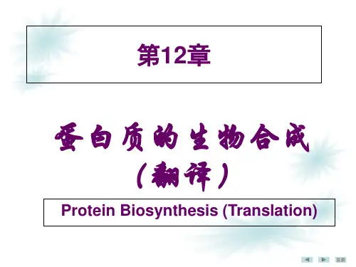 第12章蛋白质生物合成1知识分享