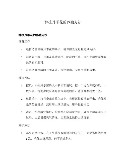 种植月季花的养殖方法