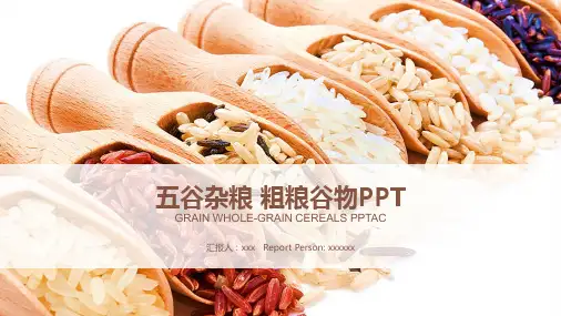 香五谷杂粮粗粮谷物农业丰收招商引资工作总结汇报PPT模板(适用于工作总结述职报告工作计划)4707