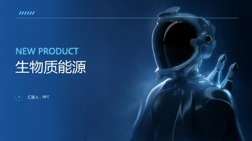 《生物质能源》课件