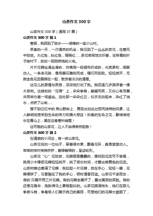 山茶作文300字（通用37篇）