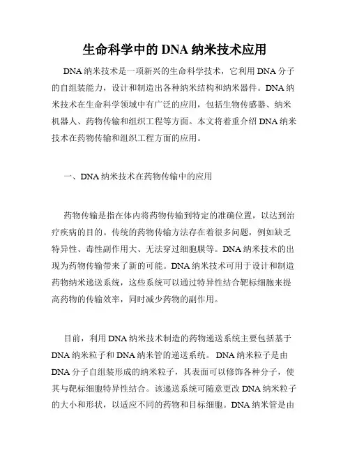 生命科学中的DNA纳米技术应用