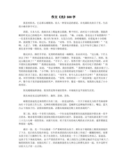 作文《光》500字