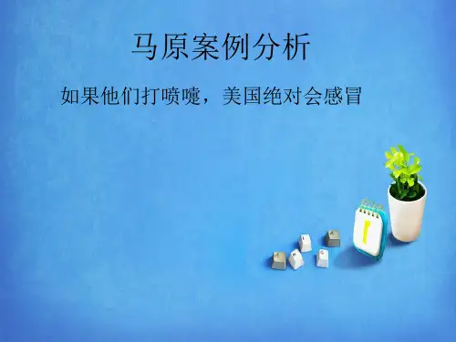马原案例分析