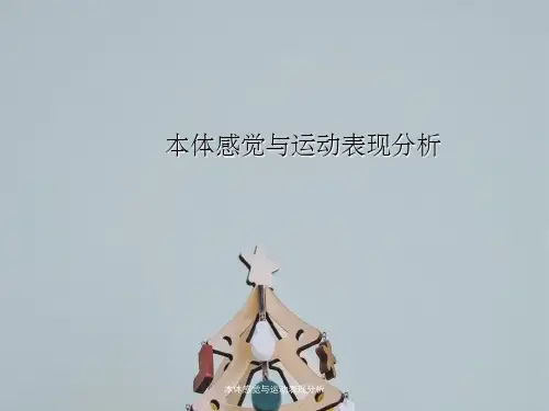 本体感觉与运动表现分析