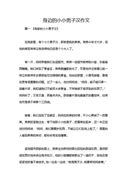 身边的小小男子汉作文