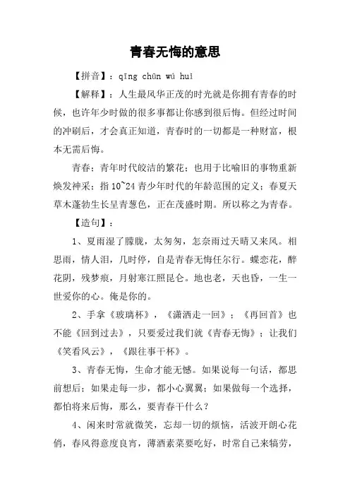 青春无悔的意思