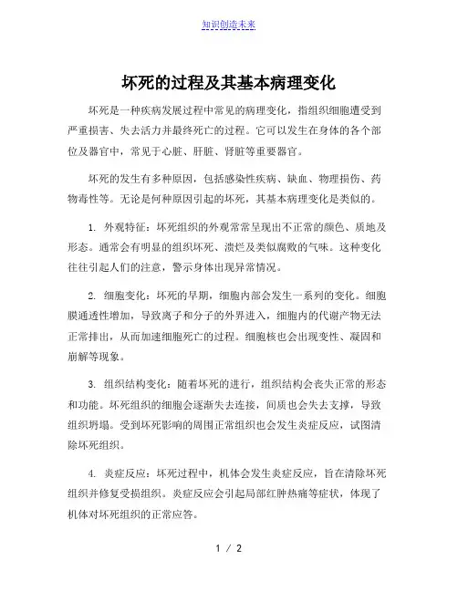 坏死的过程及其基本病理变化