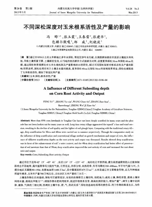 不同深松深度对玉米根系活性及产量的影响