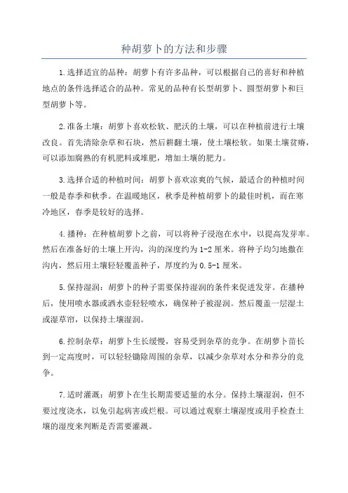 种胡萝卜的方法和步骤