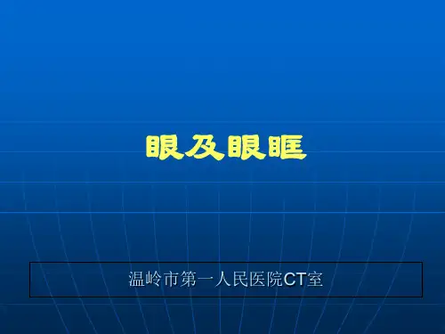 眼及眼眶疾病影像诊断完整版本
