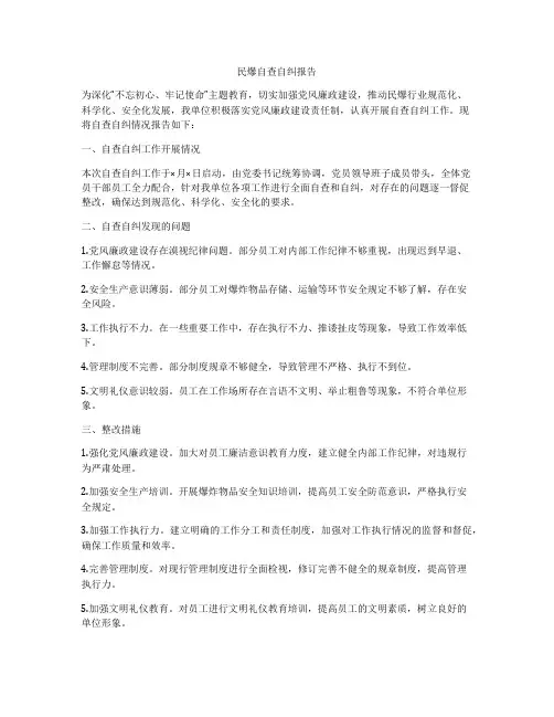 民爆自查自纠报告