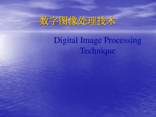 图像技术基础ppt课件