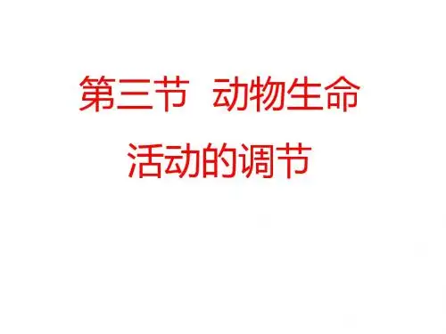 动物生命活动的调节