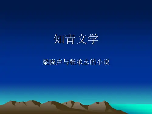 知青文学