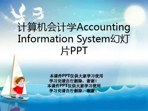 计算机会计学Accounting Information System幻灯片PPT