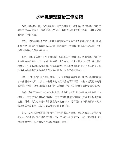 水环境清理整治工作总结