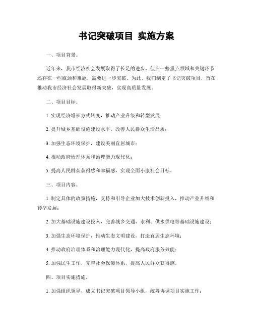 书记突破项目 实施方案