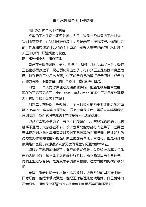 电厂水处理个人工作总结