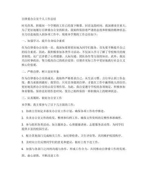 自律委办公室个人工作总结