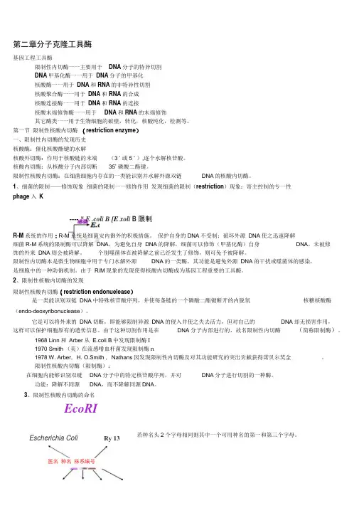 基因工程复习资料