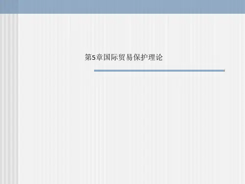 第5章国际贸易保护理论