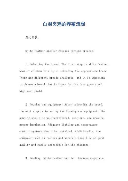 白羽肉鸡的养殖流程