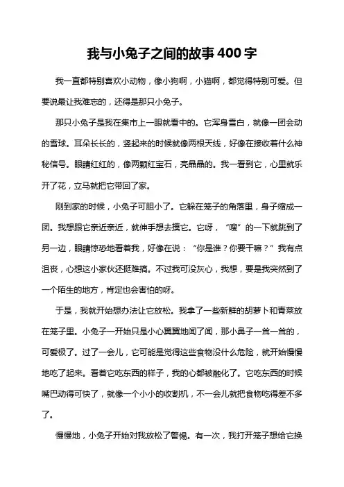 我与小兔子之间的故事400字