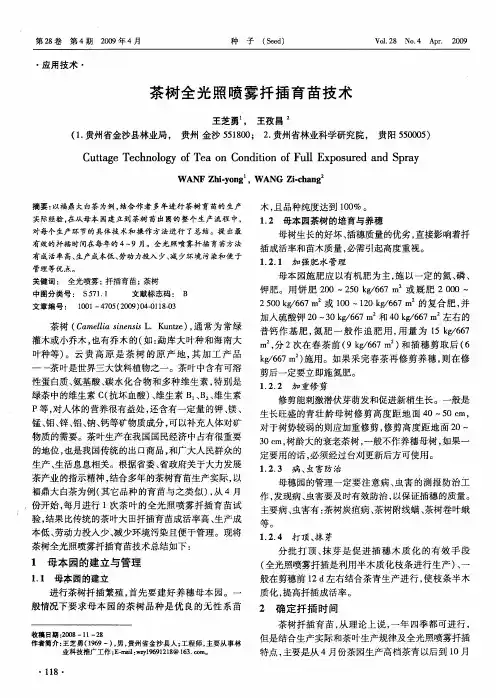 茶树全光照喷雾扦插育苗技术