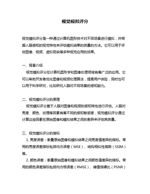 视觉模拟评分