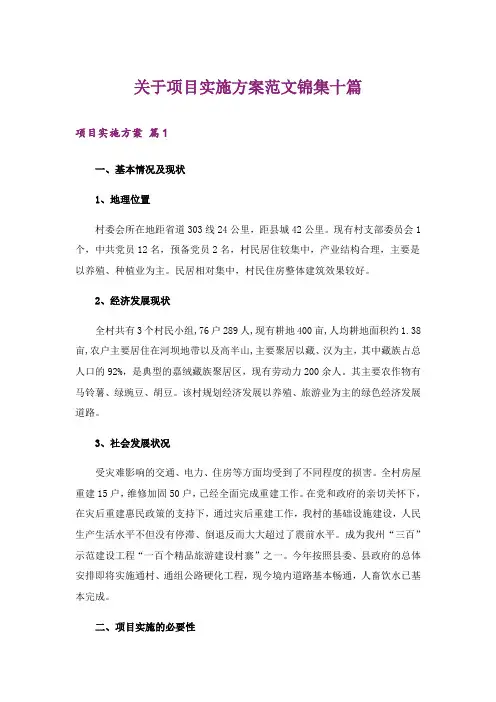 关于项目实施方案范文锦集十篇