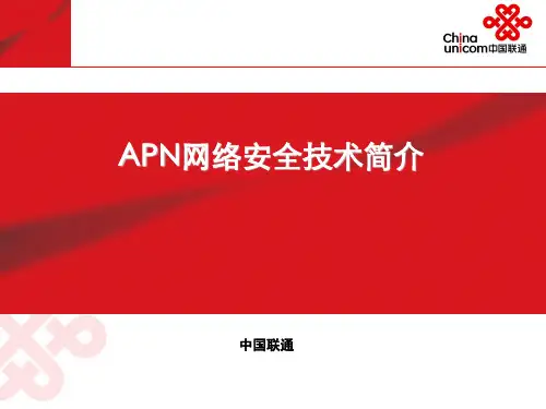 APN网络安全技术简介