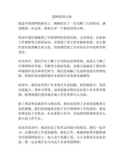 国网培训心得